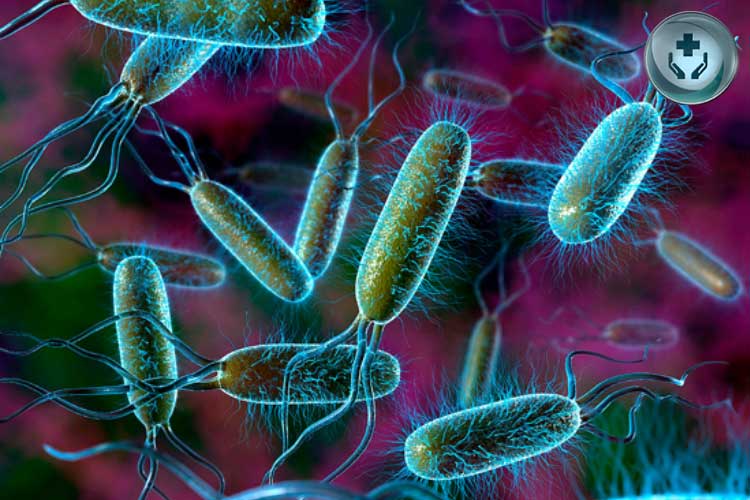 Infeksi Bakteri yang Menyebabkan Penyakit Berbahaya dan Cara Mengobatinya