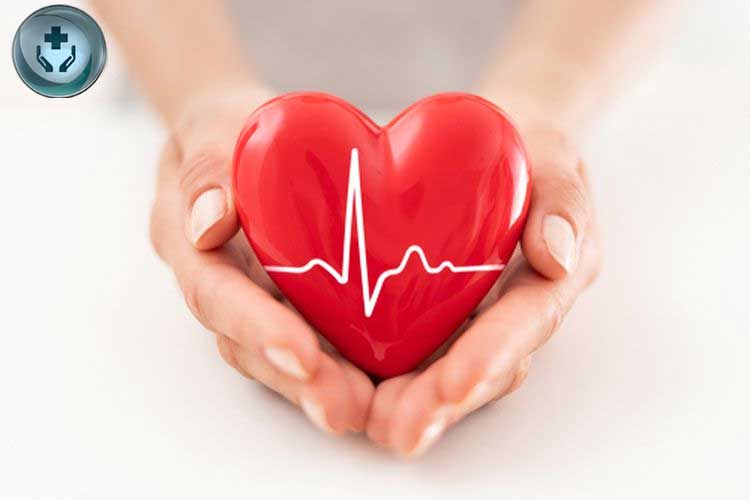 Menjaga Kesehatan Jantung untuk Hidup Lebih Sehat