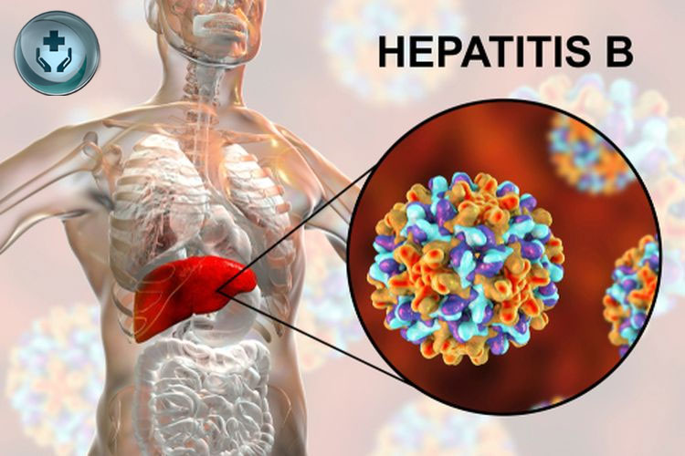 Hepatitis Infeksi: Penyebab, Gejala, dan Pengobatan