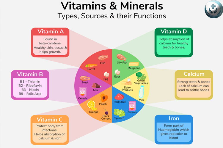 The Role of Vitamins and Minerals in Supporting Your Body