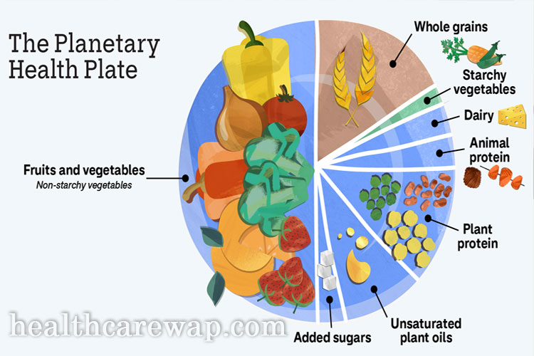 Planetary Health Diet: Menggabungkan Kesehatan & Lingkungan